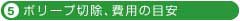 (5)ﾎﾟﾘｰﾌﾟ切除､費用の目安